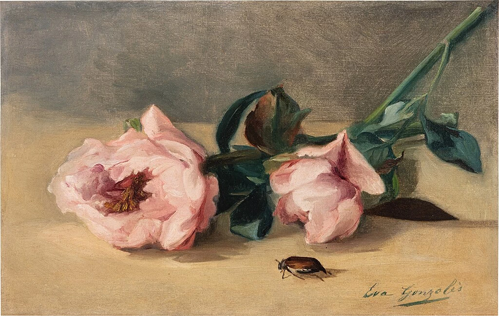 Le peonie e il maggiolino